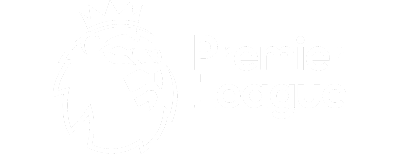English Premier League 2007-2008 logo