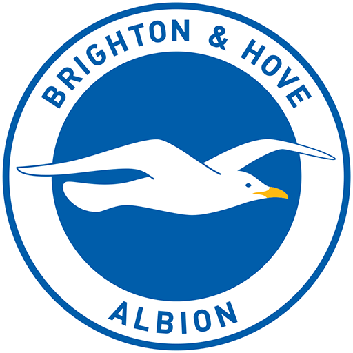 Brighton badge